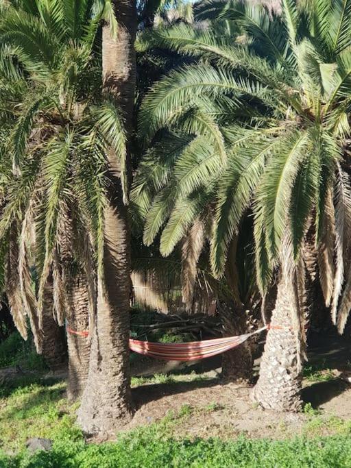 شقة Hyggeland II - Oase Der Ruhe Im Palmendorf Tazo فاليهيرموسو المظهر الخارجي الصورة